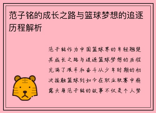 范子铭的成长之路与篮球梦想的追逐历程解析